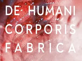 纪录片《人体结构/De Humani Corporis Fabrica》超高清1080P电影视频合集[MP4/4.49 GB]百度云网盘下载