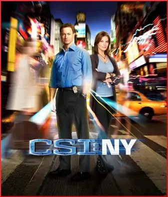 美剧《犯罪现场调查：纽约/CSI: NY》全1-9季