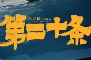 国产剧《第二十条/Article 20》高清电影视频[MP4/6.67GB]百度云网盘下载